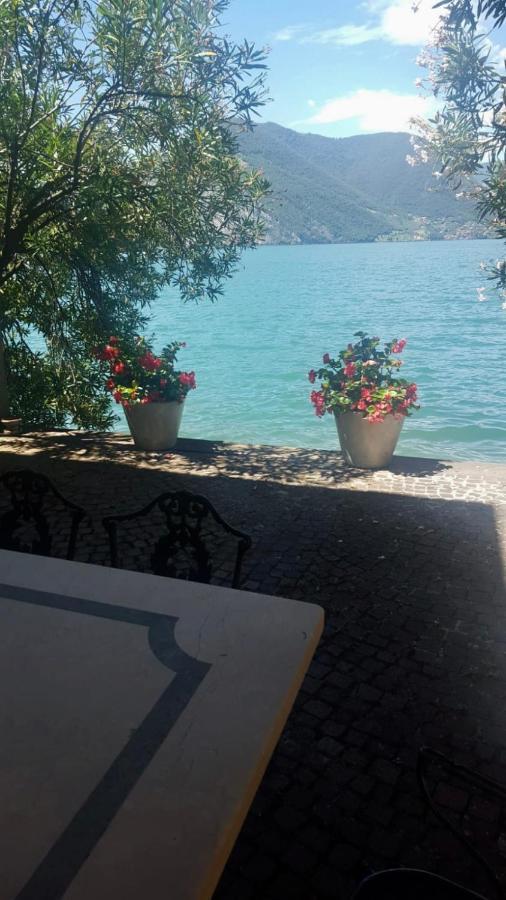 L'Oleandro Sul Lago D'Iseo B&B Sulzano Ngoại thất bức ảnh