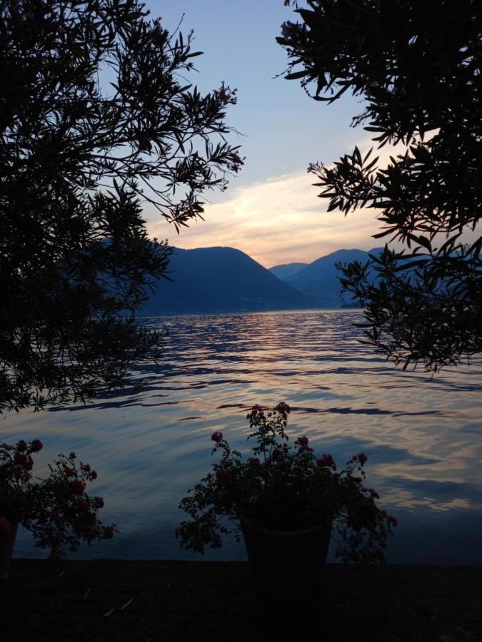 L'Oleandro Sul Lago D'Iseo B&B Sulzano Ngoại thất bức ảnh