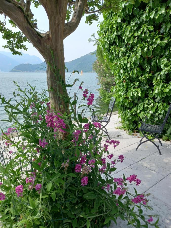 L'Oleandro Sul Lago D'Iseo B&B Sulzano Ngoại thất bức ảnh
