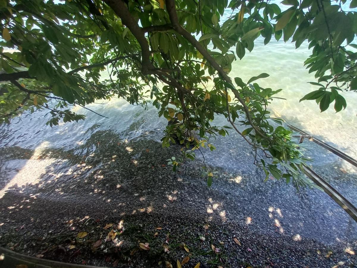L'Oleandro Sul Lago D'Iseo B&B Sulzano Ngoại thất bức ảnh