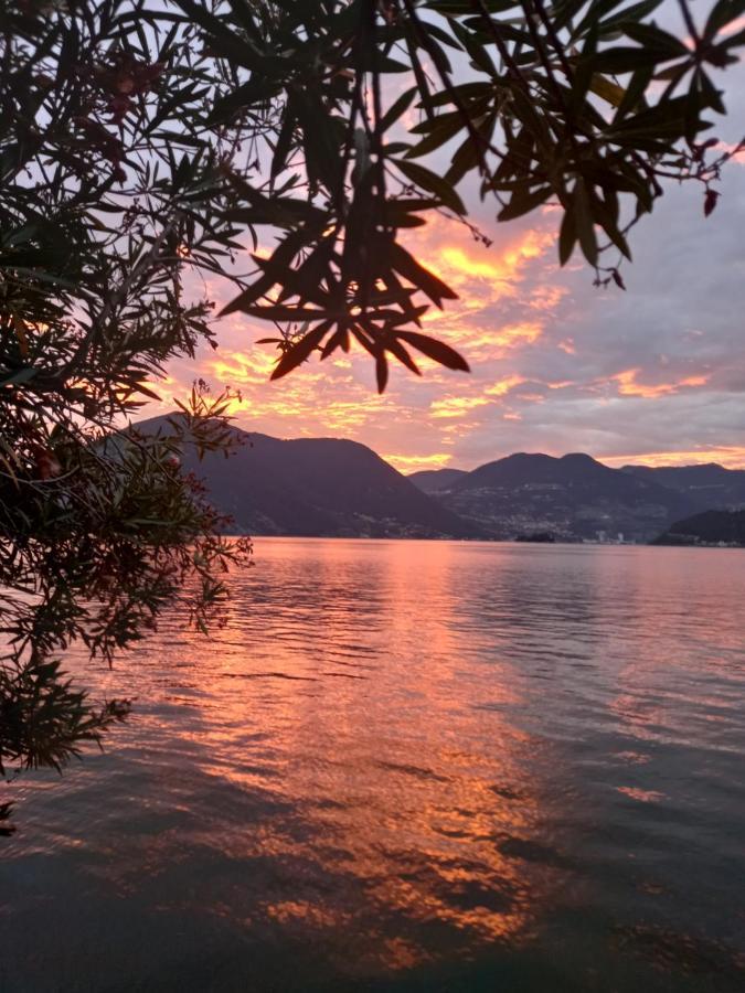 L'Oleandro Sul Lago D'Iseo B&B Sulzano Ngoại thất bức ảnh