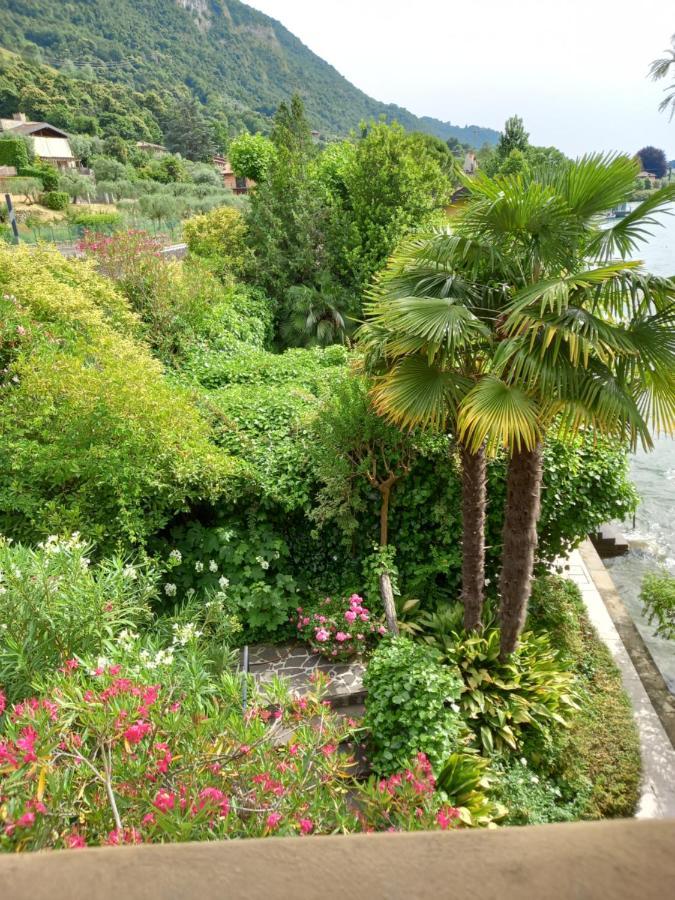 L'Oleandro Sul Lago D'Iseo B&B Sulzano Ngoại thất bức ảnh