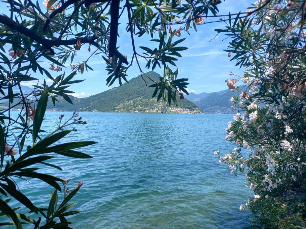 L'Oleandro Sul Lago D'Iseo B&B Sulzano Ngoại thất bức ảnh