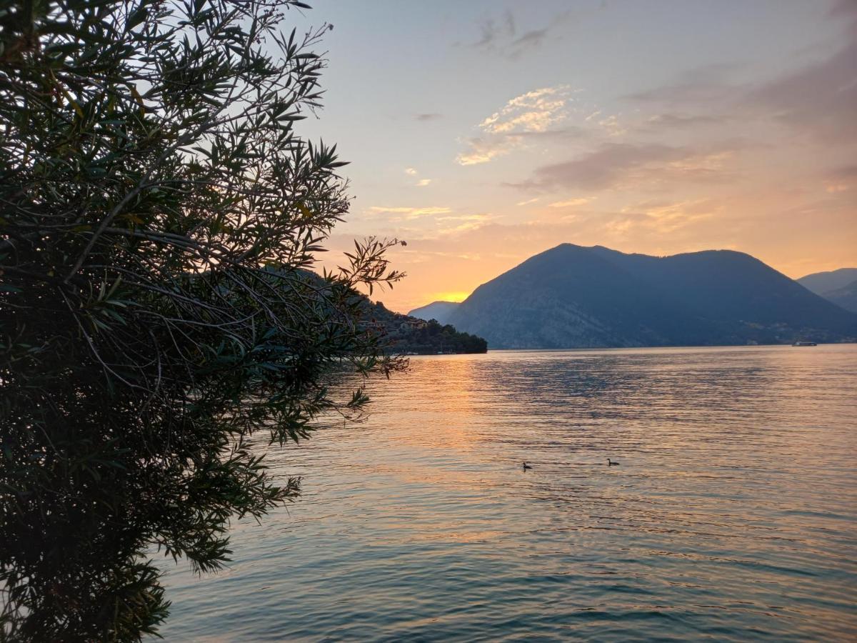 L'Oleandro Sul Lago D'Iseo B&B Sulzano Ngoại thất bức ảnh