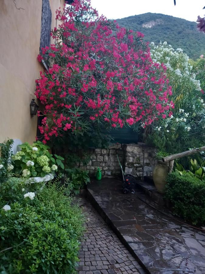 L'Oleandro Sul Lago D'Iseo B&B Sulzano Ngoại thất bức ảnh